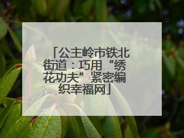 公主岭市铁北街道：巧用“绣花功夫”紧密编织幸福网