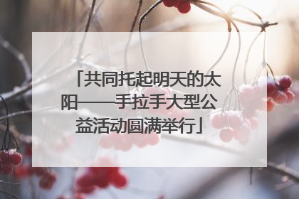 共同托起明天的太阳——手拉手大型公益活动圆满举行