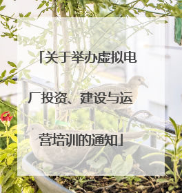 关于举办虚拟电厂投资、建设与运营培训的通知
