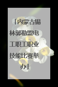 内蒙古锡林郭勒盟电工职工职业技能比赛举办