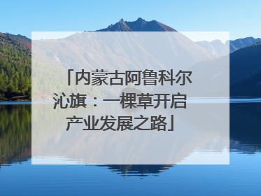 内蒙古阿鲁科尔沁旗：一棵草开启产业发展之路