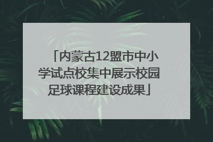 内蒙古12盟市中小学试点校集中展示校园足球课程建设成果