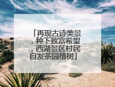 再现古诗美景，种下致富希望，西湖景区村民自发茶园植树
