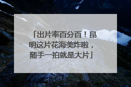 出片率百分百！昆明这片花海美炸啦，随手一拍就是大片