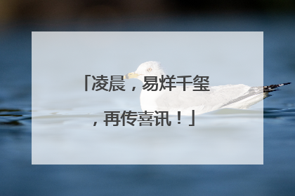 凌晨，易烊千玺，再传喜讯！