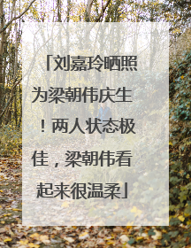 刘嘉玲晒照为梁朝伟庆生！两人状态极佳，梁朝伟看起来很温柔