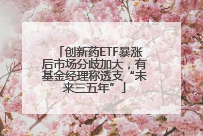 创新药ETF暴涨后市场分歧加大，有基金经理称透支“未来三五年”