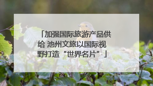加强国际旅游产品供给 池州文旅以国际视野打造“世界名片”