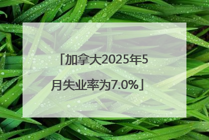 加拿大2025年5月失业率为7.0%