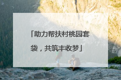 助力帮扶村桃园套袋，共筑丰收梦