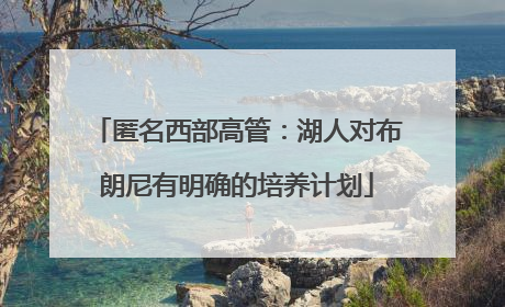 匿名西部高管：湖人对布朗尼有明确的培养计划