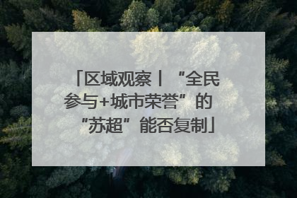 区域观察丨“全民参与+城市荣誉”的“苏超”能否复制