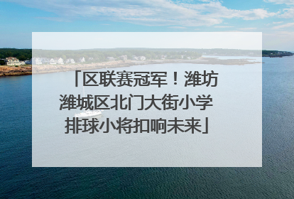 区联赛冠军！潍坊潍城区北门大街小学排球小将扣响未来