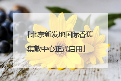 北京新发地国际香蕉集散中心正式启用