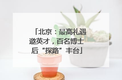 北京：最高礼遇邀英才，百名博士后“探路”丰台