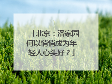 北京：潘家园何以悄悄成为年轻人心头好？