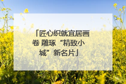 匠心织就宜居画卷 雕琢“精致小城”新名片