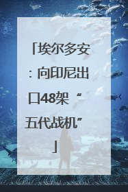 埃尔多安：向印尼出口48架“五代战机”