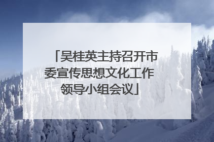 吴桂英主持召开市委宣传思想文化工作领导小组会议