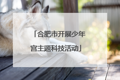 合肥市开展少年宫主题科技活动