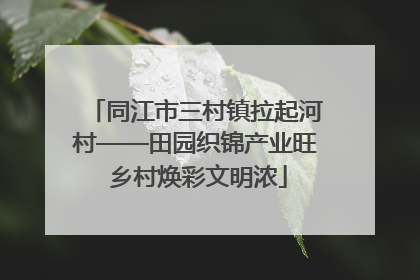 同江市三村镇拉起河村——田园织锦产业旺 乡村焕彩文明浓