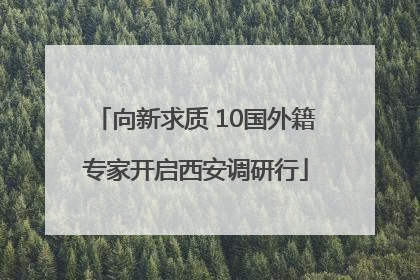 向新求质 10国外籍专家开启西安调研行