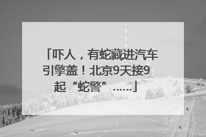 吓人，有蛇藏进汽车引擎盖！北京9天接9起“蛇警”……