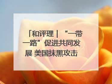 和评理｜“一带一路”促进共同发展 美国抹黑攻击酸味十足