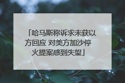 哈马斯称诉求未获以方回应 对美方加沙停火提案感到失望