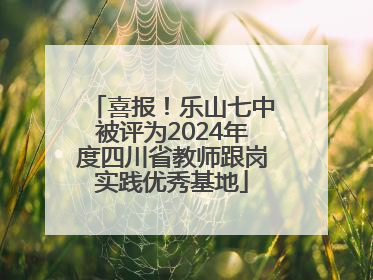 喜报！乐山七中被评为2024年度四川省教师跟岗实践优秀基地
