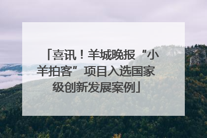 喜讯！羊城晚报“小羊拍客”项目入选国家级创新发展案例