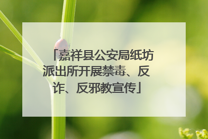 嘉祥县公安局纸坊派出所开展禁毒、反诈、反邪教宣传