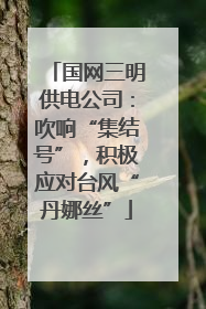 国网三明供电公司：吹响“集结号”，积极应对台风“丹娜丝”