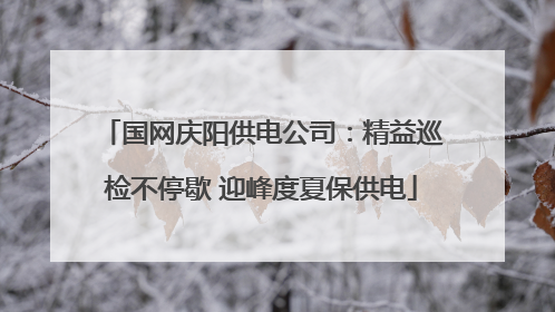 国网庆阳供电公司：精益巡检不停歇 迎峰度夏保供电