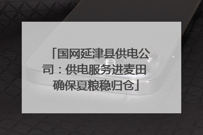 国网延津县供电公司：供电服务进麦田 确保夏粮稳归仓