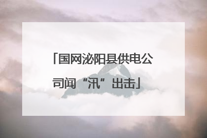 国网泌阳县供电公司闻“汛”出击