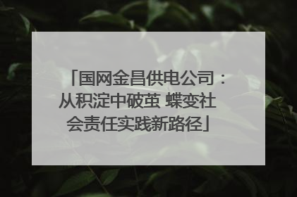 国网金昌供电公司：从积淀中破茧 蝶变社会责任实践新路径