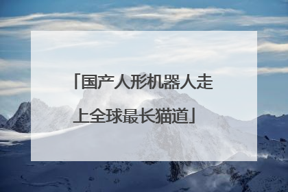 国产人形机器人走上全球最长猫道