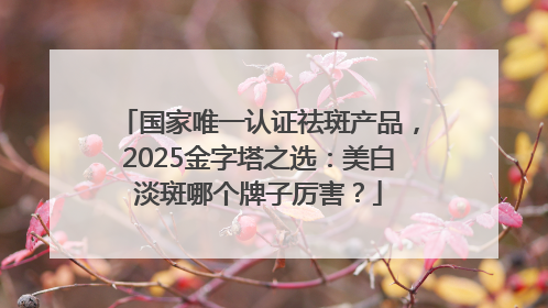 国家唯一认证祛斑产品，2025金字塔之选：美白淡斑哪个牌子厉害？