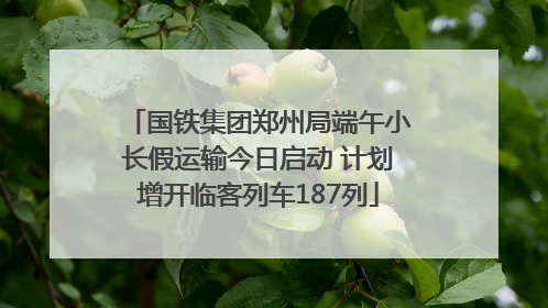 国铁集团郑州局端午小长假运输今日启动 计划增开临客列车187列