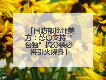 国防部批评美方：怂恿支持“台独”搞分裂必将引火烧身