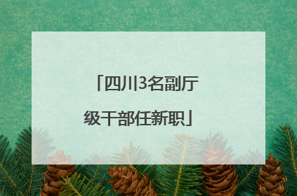 四川3名副厅级干部任新职