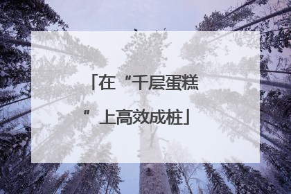 在“千层蛋糕”上高效成桩
