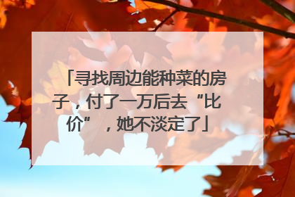 寻找周边能种菜的房子，付了一万后去“比价”，她不淡定了
