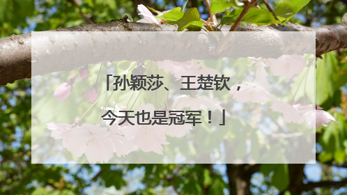 孙颖莎、王楚钦，今天也是冠军！