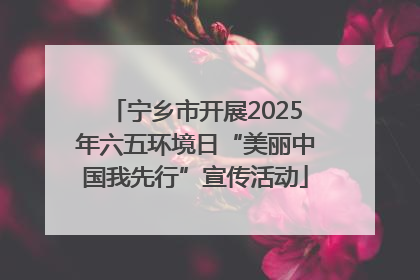 宁乡市开展2025年六五环境日“美丽中国我先行”宣传活动