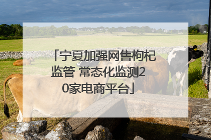 宁夏加强网售枸杞监管 常态化监测20家电商平台