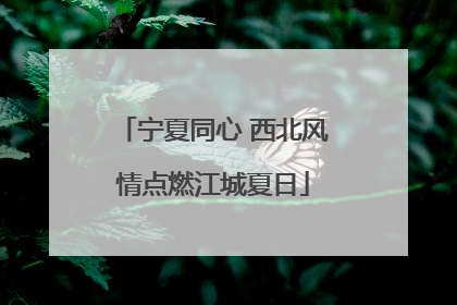 宁夏同心 西北风情点燃江城夏日