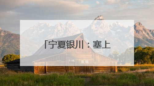 宁夏银川：塞上端午聚同心 港澳台侨共传情