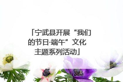 宁武县开展“我们的节日·端午”文化主题系列活动
